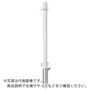 メドーマルク 鉄製ポストタイプ差込式フタ鍵付 (白、黄)  ( FP2-6SK )｜orangetool
