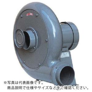 淀川電機 電動送風機 ターボ型 BNシリーズ 単相100V (0.2kW)  ( BN3L )｜orangetool