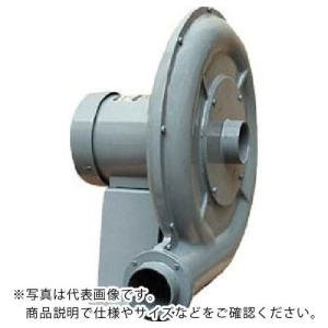 淀川電機 電動送風機 強力高圧ターボ型 KDHシリーズ 三相200V (0.75kW・IE3モータ) 50Hz 50Hz ( KDH4TLP  50HZ )｜orangetool