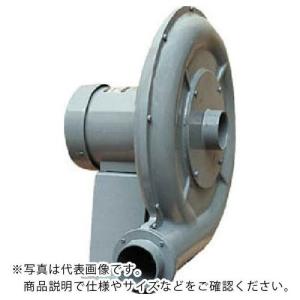 淀川電機 電動送風機 高圧ターボ型 DHシリーズ 三相200V (0.75kW・IE3モータ) ( DH4TLP ) (メーカー取寄)｜orangetool