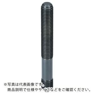 HALDER スタッドボルトDIN6379 Tナット用 強度クラス10.9ピン径M12全長80 ( 23040.0123 ) ロームヘルド・ハルダー(株)｜orangetool