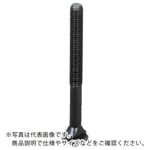 HALDER Tボルト DIN 787 強度クラス 10.9 T溝幅6 M6×63 ( 23030.0063 ) ロームヘルド・ハルダー(株)｜orangetool