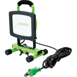 岩崎 LED投光器(40クラス、超広角タイプ、昼白色タイプ) ( ECF4040SW