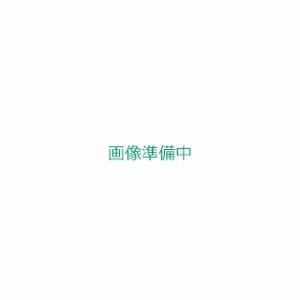 イスカル　ピコカット　小径ソリッドバー　ＰＩＣＣＯ　Ｒ／Ｌ　００２−００７　ＩＣ９０８ (PICCO...
