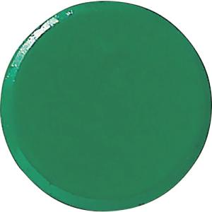 緑十字 強磁力カラーマグネット(ボタン型) 緑 WMG-471G 30Φ×7mm 2個組 両面磁力 ( 315022 ) (株)日本緑十字社｜orangetool