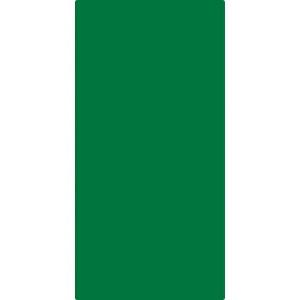 緑十字 エンビ無地板 緑 エンビ-13(緑) 600×300×1mm 硬質塩化ビニール ( 057132 ) (株)日本緑十字社｜orangetool