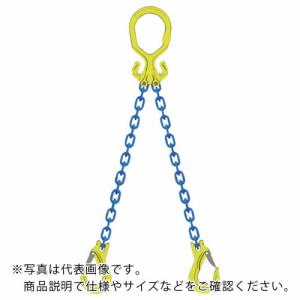 MARTEC チェーンスリングセット  チェーン長=2m ( MG2-EGKNA16 )｜orangetool
