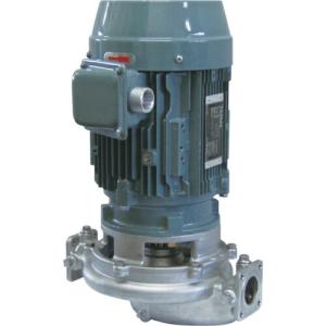 TERAL ステンレス製アイラインポンプ 吐出量150L/min ( SLP2-32-6.4S ) テラル(株) (メーカー取寄)｜orangetool