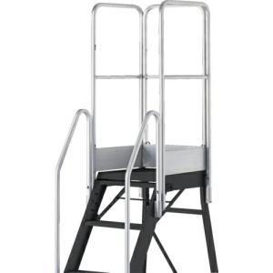 TRUSCO 踏み台TDAD用フルセット手すり 高さ1100mm 本体高さ0.90m~1.80m用 ( TDAD-TF-110 )｜orangetool