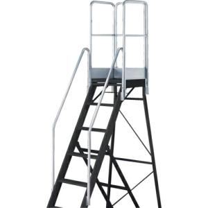 TRUSCO 踏み台TDAD用フルセット手すり 高さ1100mm 本体高さ2.10m用 ( TDAD-TF-210-110 )｜orangetool