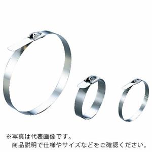 TRUSCO ステンレスバンド 取り外し可能タイプ W5.0X80L (20本入) ( STB580 ) トラスコ中山(株)｜orangetool