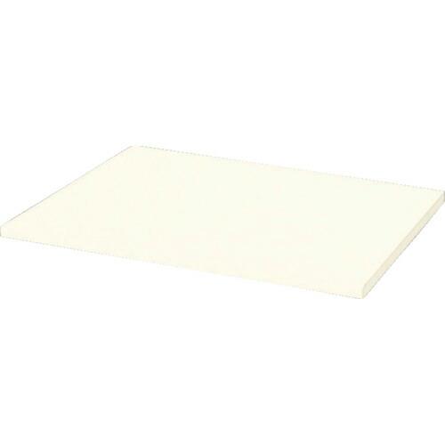 NAIKI 収納庫 CW型 天板(両面・片面兼用) ホワイト ( CW-600TP-H )