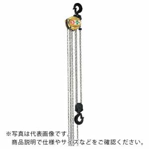 象印 ホイストマン トルコン機能付チェーンブロック1t・2.5m ( HM3-01025 ) 象印チェンブロック(株)｜orangetool