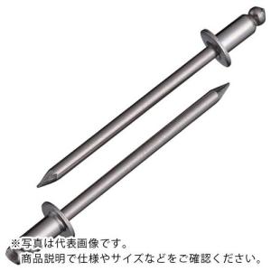 エビ ブラインドリベット(ステンレス/ステンレス製) 3-4(1000本入) 箱入 ( NST34 ) (株)ロブテックス｜orangetool