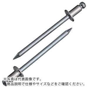 エビ ブラインドリベット(ステンレス/スティール製) 4-1(1000本入) 箱入 ( NSS41 ) (株)ロブテックス｜orangetool