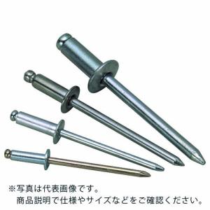 エビ ブラインドリベット(ステンレス/スティール製) 5-5(1000本入) 箱入 ( NSS55 ) (株)ロブテックス｜orangetool