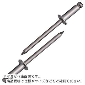 エビ ブラインドリベット(ステンレス/ステンレス製) 5-5(1000本入) 箱入 ( NST55 ) (株)ロブテックス｜orangetool