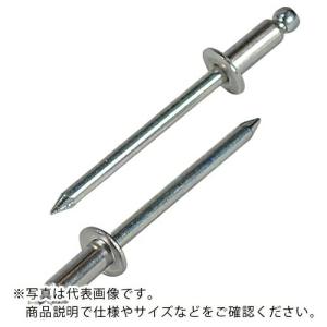エビ ブラインドリベット(ステンレス/スティール製) 5-6(1000本入) 箱入 ( NSS56 ) (株)ロブテックス｜orangetool
