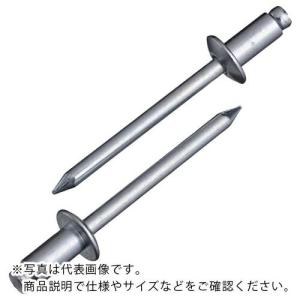 エビ ブラインドリベット(スティール/スティール製) 6-10(1000本入) 箱入 ( NS610 ) (株)ロブテックス｜orangetool