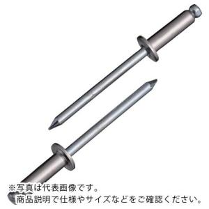 エビ ブラインドリベット(ステンレス/スティール製) 6-10(1000本入) 箱入 ( NSS610 ) (株)ロブテックス｜orangetool