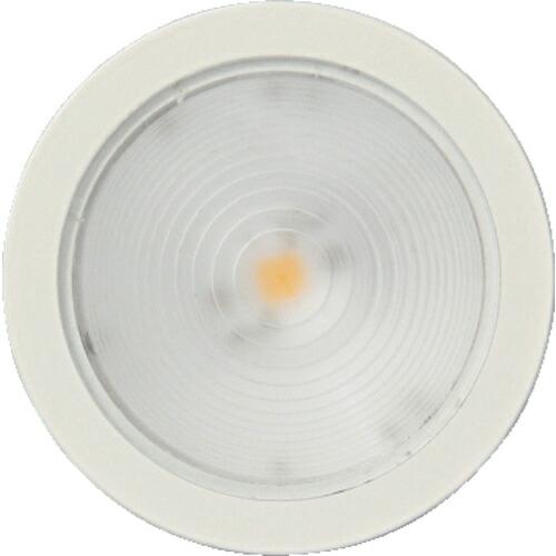 SUGATSUNE (220021818)LEDライト ( SL-GX531-WNWT ) (メーカ...