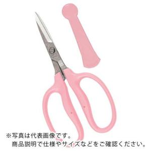 チカマサ アレンジディオ  ( CRI-160SP )｜orangetool
