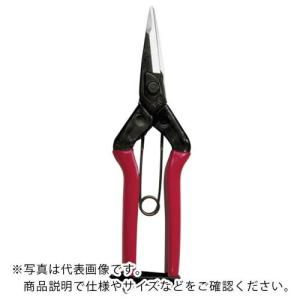 チカマサ 大型摘果鋏 ( T-601K ) (メーカー取寄)｜orangetool