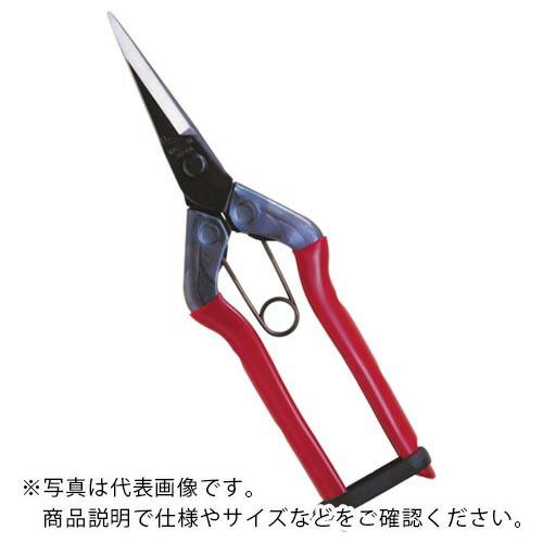 チカマサ 芽切鋏 ( T-551 ) (株)近正 (メーカー取寄)