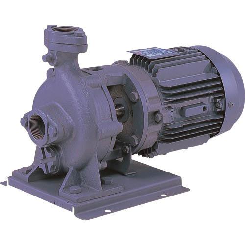 エバラ FVD型ブルテックスポンプ 60Hz 口径50mm 出力0.75kW  ( 50FVD6.7...