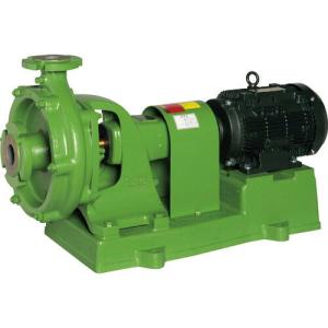 エバラ ( 荏原製作所 )　ＳＡＬ型スラリポンプ　６０Ｈｚ　口径１５０ｍｍ　出力７５ｋＷ ( 150X125SALJ675B ) (メーカー取寄)