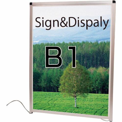 TOKISEI バリウスパネルLED B1屋外用 ( VAPALEDB1 ) (メーカー取寄)