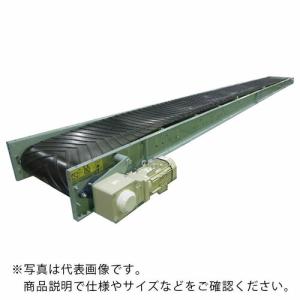 KYC バラ物用コンベヤ600幅 機長3m 2点キャリア式 ( SMVZ60-3 ) 光洋機械産業(株)｜orangetool