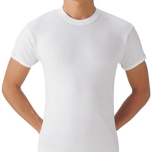 【SALE価格】GUNZE やわらか肌着半袖丸首2枚組LL ( SV61142-LL )