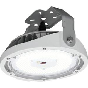HATAYA 45W LED電球 LDR45N-H110 ハタヤ ( ハタヤリミテッド ) 45WLED電球 LDR45N-H110 : ORANGE TOOL