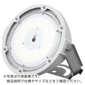 ハタヤ ( ハタヤリミテッド ) 45WLED電球 LDR45N-H110 : ORANGE TOOL