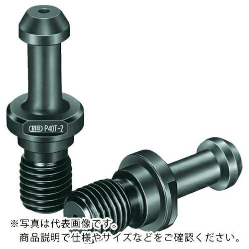 BIG プルスタッドボルト ( P30T-2MGH3 )