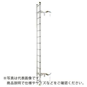 ハセガワ モンキークライマー専用はしご LK1型 6m ( LK1-60 ) 長谷川工業(株) (メーカー取寄)｜orangetool