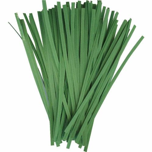 TRUSCO 園芸用ペーパータイ 幅4mm×長さ100mm 緑 100本入 ( PVT100-100...