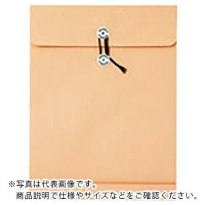 JTX 342252)保存袋古紙配合角0 50枚 ( P603J-K0-50 ) プラス(株) (メーカー取寄)｜orangetool