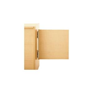 PLUS 32071)FK スイングドア  ( FK-SD WM )