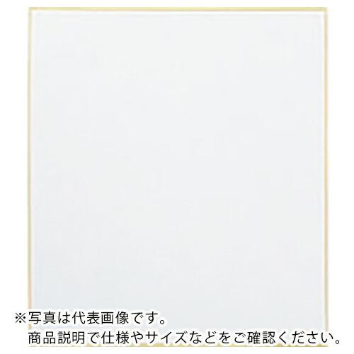 JTX 365340)色紙 画仙 10枚入 ( N102J-G ) プラス(株) (メーカー取寄)