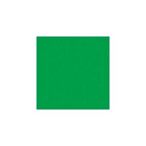 JTX 365260)単色おりがみ黄緑 100枚 ( B260J-5 ) プラス(株) (メーカー取...