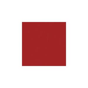 JTX 365288)単色おりがみ紅 100枚 ( B260J-29 ) プラス(株) (メーカー取...