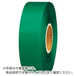 JTX 831139)カラ-リボン緑 24mmX25m 10個 ( B824J-GR10 ) プラス(株) (メーカー取寄)｜orangetool