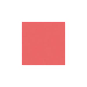 JTX 365295)単色おりがみサンゴ 100枚 ( B260J-42 ) プラス(株) (メーカ...