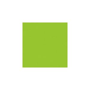 JTX 365270)単色おりがみウグイス 100枚 ( B260J-4 ) プラス(株) (メーカ...