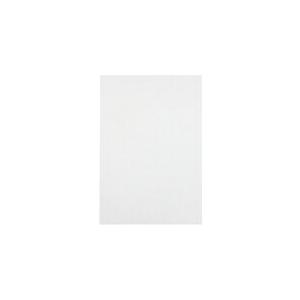 JTX 381347)色画用紙 8ツ切10枚 ゆき  ( P148J-14 ) (メーカー取寄)｜orangetool