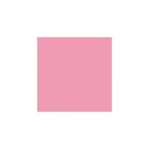 JTX 365277)単色おりがみカ-ネ-ション100枚  ( B260J-37 ) プラス(株) ...