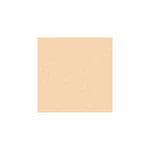 JTX 365297)単色おりがみベ-ジュ 100枚 ( B260J-35 ) プラス(株) (メー...