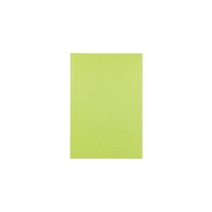 JTX 381345)色画用紙 8ツ切10枚 きみどり ( P148J-12 ) プラス(株) (メ...